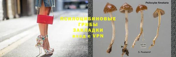 шишки Ханты-Мансийск